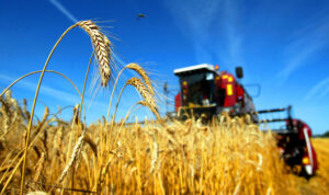 Taller de Indicadores y Márgenes Agrícolas