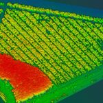Integrando herramientas geoespaciales en el día a día de la producción forestal