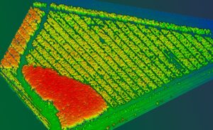 Integrando herramientas geoespaciales en el día a día de la producción forestal