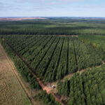 Herramientas Geoespaciales para la producción agrícola y forestal