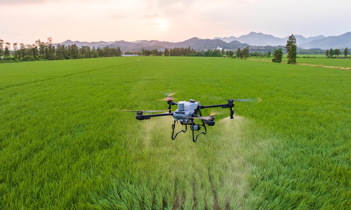 Uso de Drones de pulverización agrícola para Profesionales