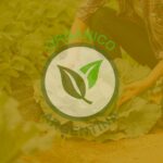 CURSO DE FORMACIÓN PARA AUDITORES INTERNOS EN PRODUCCIÓN ORGÁNICA