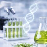 Nuevo marco normativo en Argentina para los OGMs del ámbito agropecuario y agroindustrial: Simplificación y criterios técnicos