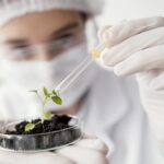 Nuevas Técnicas de Mejoramiento: fundamentos técnicos y actualización normativa en Argentina