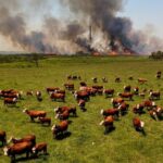 Formación en Prevención de Incendios Rurales y Forestales