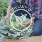 Formación para auditores internos en Producción Orgánica